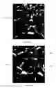 Fig. 03 - FEEDSTOCK