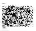 Fig. 08 - METHOD FOR PRODUCING DISPERSIONS HAVING METAL OXIDE NANOPARTICLES AND DISPERSIONS PRODUCED THEREBY