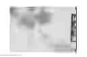 Fig. 01 - METHOD FOR PREPARING SILICA PARTICLES CONTAINING A PHTHALOCYANINE DERIVATIVE, SAID PARTICLES AND USES THEREOF