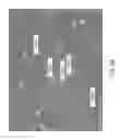 Fig. 10 - Stable polyelectrolyte coated nanoparticles