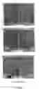 Fig. 24 - SEAWATER-MIXED CONCRETE, CONCRETE STRUCTURE CONSTRUCTED WITH THE SAME, AND DESIGN METHOD OF CONCRETE STRUCTURE CONSTRUCTED WITH SEAWATER-MIXED CONCRETE