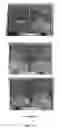 Fig. 29 - SEAWATER-MIXED CONCRETE, CONCRETE STRUCTURE CONSTRUCTED WITH THE SAME, AND DESIGN METHOD OF CONCRETE STRUCTURE CONSTRUCTED WITH SEAWATER-MIXED CONCRETE