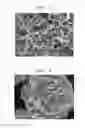 Fig. 03 - Positive electrode active material, method of manufacturing the positive electrode active material, and lithium battery employing the positive electrode active material