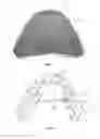 Fig. 03 - Tooth positioners, method of making the same, and method of positioning teeth using the same