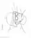 Fig. 08 - VIRTUAL SHOOT WALL WITH 3D SPACE AND AVATARS REACTIVE TO USER FIRE, MOTION, AND GAZE DIRECTION