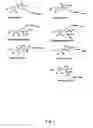 Fig. 02 - LABELLED NUCLEOTIDES