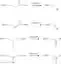 Fig. 06 - LABELLED NUCLEOTIDES