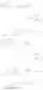 Fig. 07 - LABELLED NUCLEOTIDES