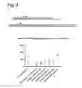 Fig. 04 - Stringent selectable markers