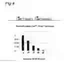 Fig. 05 - Stringent selectable markers