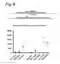Fig. 10 - Stringent selectable markers