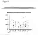 Fig. 16 - Stringent selectable markers