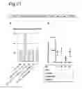 Fig. 22 - Stringent selectable markers