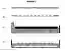 Fig. 02 - PICOWELL CAPTURE DEVICES FOR ANALYSING SINGLE CELLS OR OTHER PARTICLES