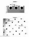 Fig. 04 - PICOWELL CAPTURE DEVICES FOR ANALYSING SINGLE CELLS OR OTHER PARTICLES