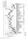 Fig. 07 - SINGLE NUCLEOTIDE POLYMORPHISMS IN BRCA1 AND CANCER RISK