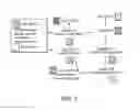 Fig. 10 - SINGLE NUCLEOTIDE POLYMORPHISMS IN BRCA1 AND CANCER RISK