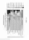 Fig. 15 - SINGLE NUCLEOTIDE POLYMORPHISMS IN BRCA1 AND CANCER RISK