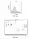 Fig. 23 - SINGLE NUCLEOTIDE POLYMORPHISMS IN BRCA1 AND CANCER RISK
