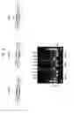 Fig. 06 - Detection and quantification of hydroxymethylated nucleotides in a polynucleotide preparation