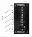 Fig. 13 - Detection and quantification of hydroxymethylated nucleotides in a polynucleotide preparation