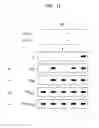 Fig. 15 - Detection and quantification of hydroxymethylated nucleotides in a polynucleotide preparation