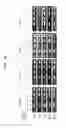Fig. 16 - Detection and quantification of hydroxymethylated nucleotides in a polynucleotide preparation