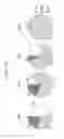 Fig. 20 - Detection and quantification of hydroxymethylated nucleotides in a polynucleotide preparation