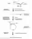 Fig. 07 - METHODS FOR MAKING TRANSCRIPTION PRODUCTS