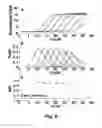 Fig. 09 - ALLELIC DISCRIMINATION ANALYSIS USING AN EFFICIENCY RELATED VALUE (EFR)
