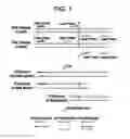 Fig. 02 - One-step method of elution of DNA from blood samples