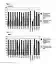 Fig. 04 - Selection method of induced pluripotent stem cells