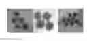 Fig. 01 - Multifunctional particles providing cellular uptake and magnetic motor effect