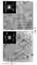 Fig. 09 - Multifunctional particles providing cellular uptake and magnetic motor effect
