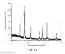 Fig. 28 - Multifunctional particles providing cellular uptake and magnetic motor effect