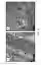 Fig. 32 - Multifunctional particles providing cellular uptake and magnetic motor effect