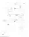 Fig. 05 - Compounds and methods for protease detection