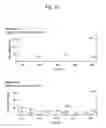 Fig. 04 - Method for selecting marker for diagnosis of nutritional status of plant, method for diagnosing nutritional status of plant, and method for determining growth status