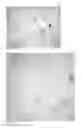 Fig. 04 - Device and methods for the detection of cervical disease