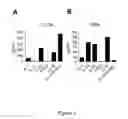 Fig. 04 - Pathogenic TH17 Cells; related reagents and methods