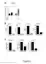 Fig. 07 - Pathogenic TH17 Cells; related reagents and methods