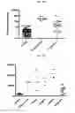 Fig. 06 - DETECTION AND QUANTITATION OF URINE GELSOLIN