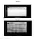 Fig. 20 - Multiplex assays with multiple luciferases reporters and uses thereof