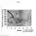 Fig. 26 - Multiplex assays with multiple luciferases reporters and uses thereof