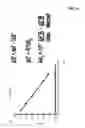 Fig. 07 - Velocity factor