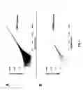 Fig. 07 - Ligation method employing eukaryotic tRNA ligase