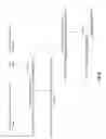 Fig. 10 - Ligation method employing eukaryotic tRNA ligase