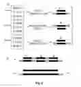 Fig. 03 - Improved Methods for Rapid Gene Synthesis