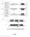 Fig. 04 - Improved Methods for Rapid Gene Synthesis