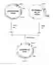 Fig. 12 - Methods for synthesizing sugar chains using β1,3-N-acetylglucosaminyltransferase